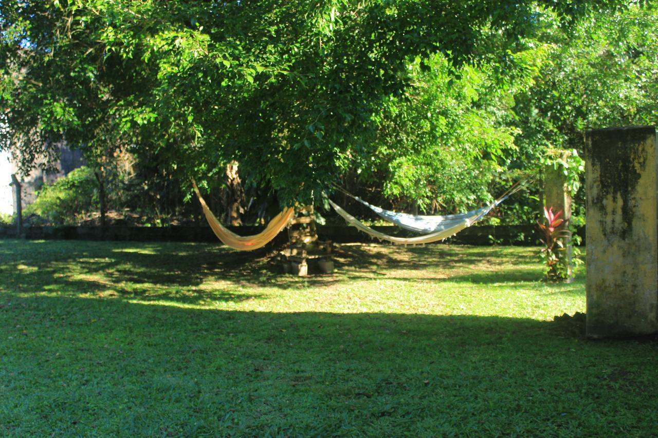 Junglez Eco Hostel Guarau エクステリア 写真