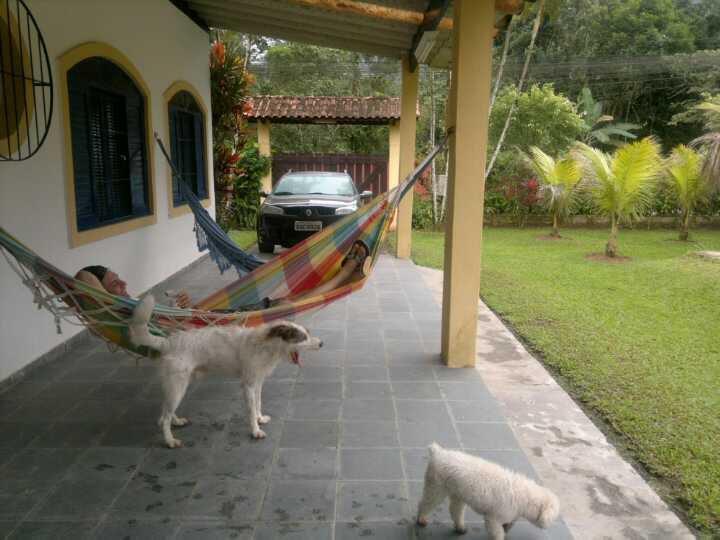 Junglez Eco Hostel Guarau エクステリア 写真