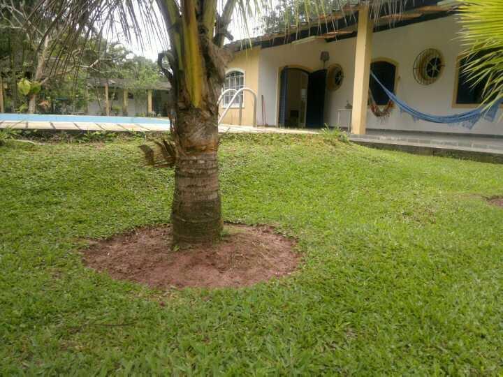 Junglez Eco Hostel Guarau エクステリア 写真
