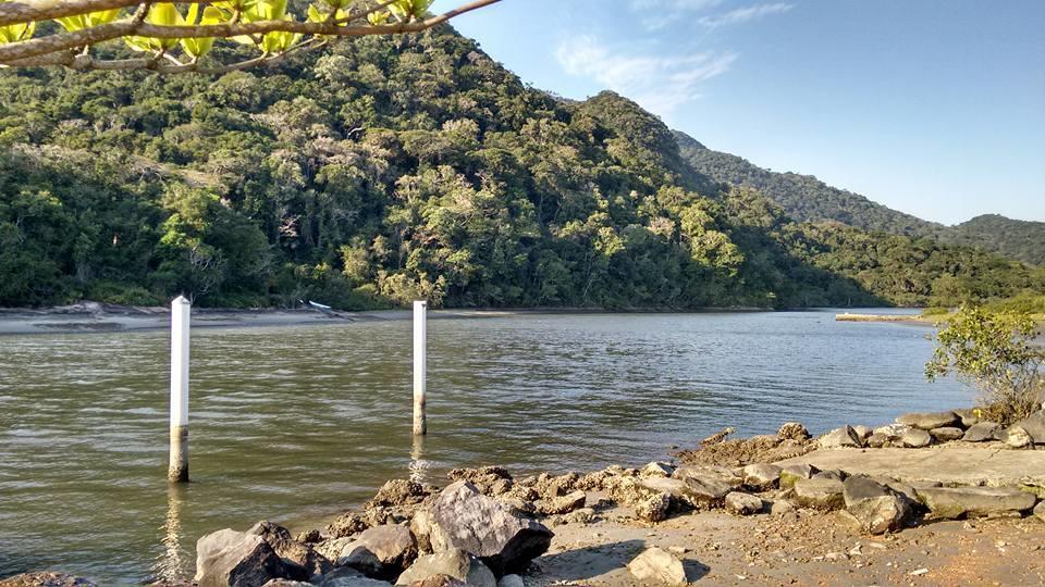 Junglez Eco Hostel Guarau エクステリア 写真