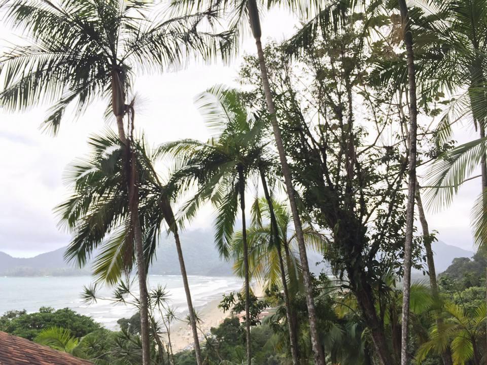 Junglez Eco Hostel Guarau エクステリア 写真