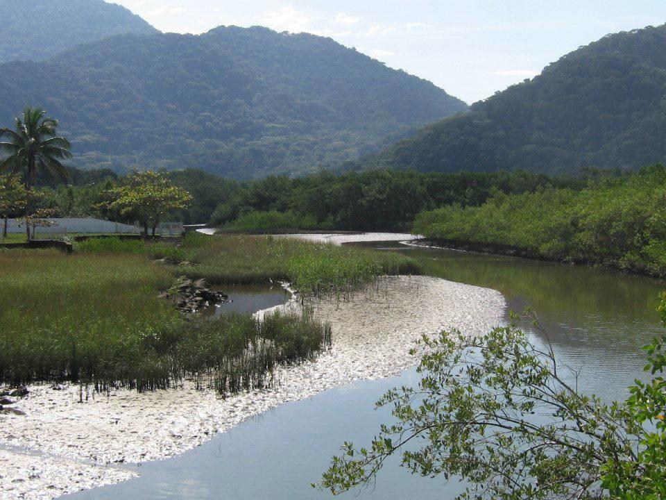 Junglez Eco Hostel Guarau エクステリア 写真