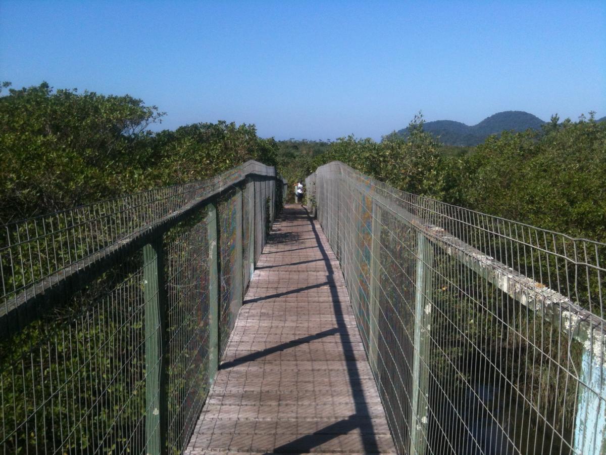 Junglez Eco Hostel Guarau エクステリア 写真