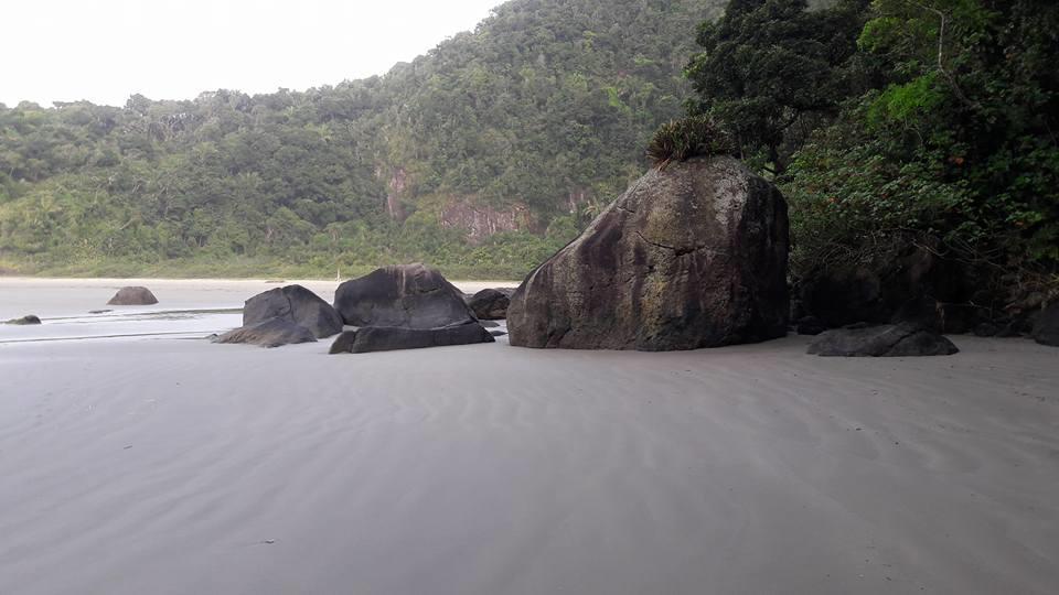 Junglez Eco Hostel Guarau エクステリア 写真