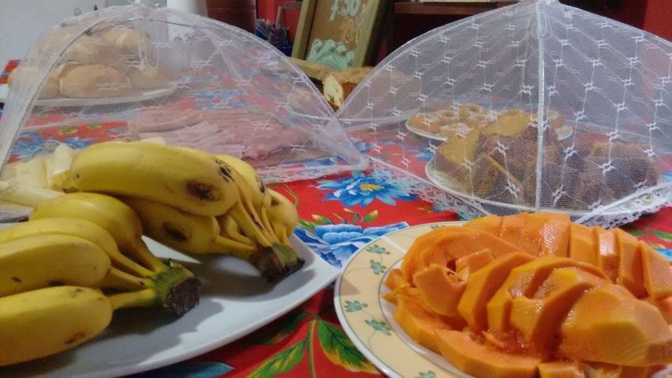 Junglez Eco Hostel Guarau エクステリア 写真